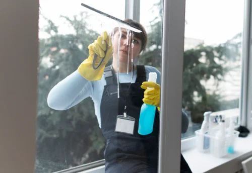 Nettoyage de vitres intérieures et extérieures à Montrottier